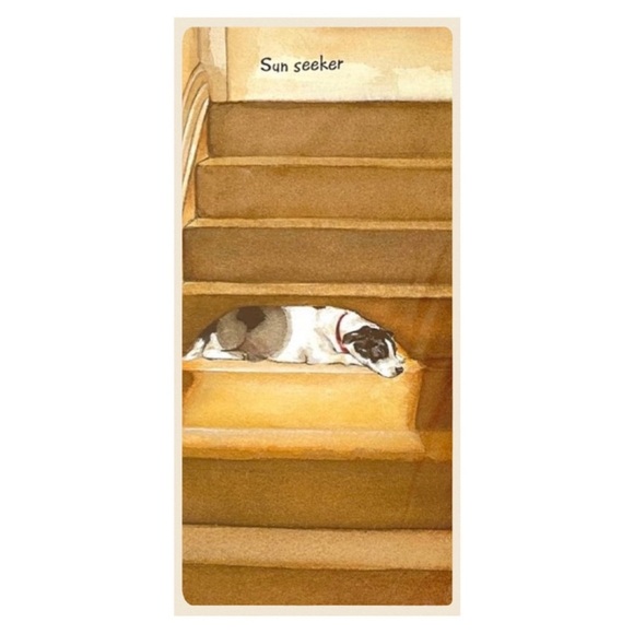 Sun Seeker Sunspot Dog Greeting Card - Picture 2 of 4